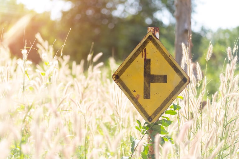 Yellow diamond-shaped road sign with cross intersection symbol surrounded by tall grass and wildflowers in golden sunlight